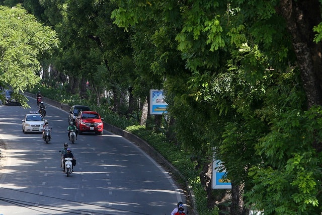 Bóng mát quý giá trên đường phố Hà Nội ngày nóng đỉnh điểm - 1