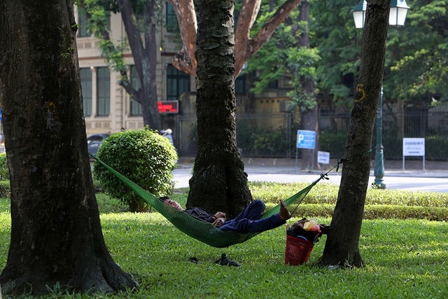 Bóng mát quý giá trên đường phố Hà Nội ngày nóng đỉnh điểm - 15