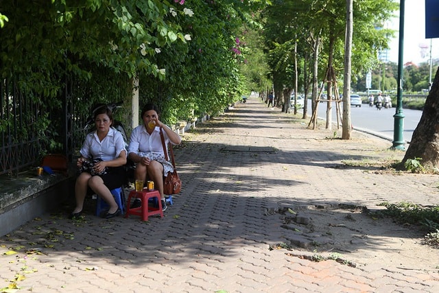 Bóng mát quý giá trên đường phố Hà Nội ngày nóng đỉnh điểm - 6