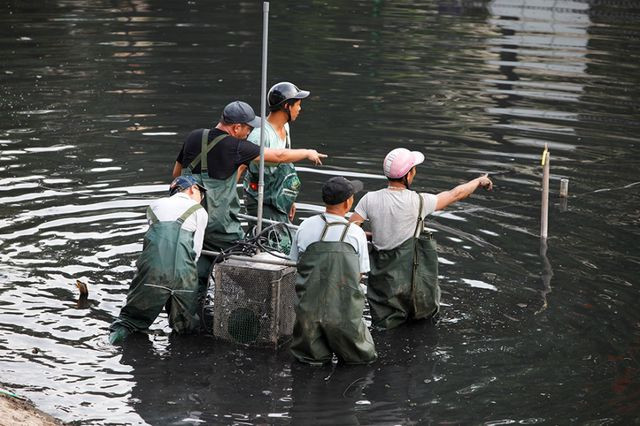 ha noi: may lam sach song to lich duoc dua len bo bao duong hinh anh 5