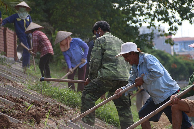 Bờ kè sông Tô Lịch được phủ xanh bằng cỏ lá tre - 1