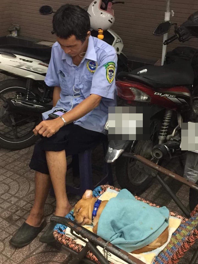 Bác bảo vệ ngồi cúi đầu trên ghế, chiếc giường xếp bên cạnh bị boss ngang nhiên chiếm - Ảnh 1.