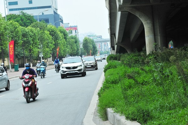 Dải phân cách trục vành đai 3 như một bãi đất hoang chạy giữa lòng Hà Nội - Ảnh 5.