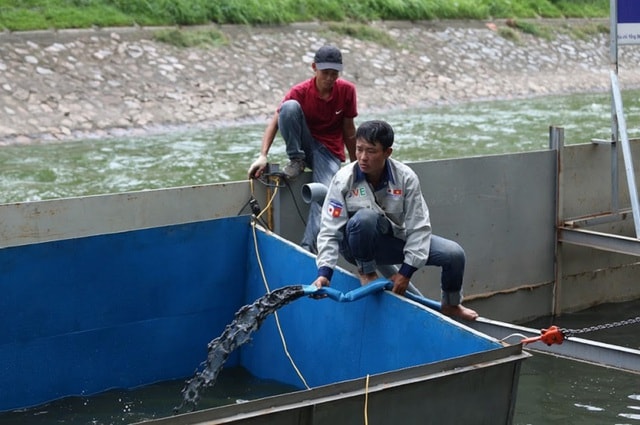 Chuyên gia Nhật Bản sẽ tắm trong khu thí điểm làm sạch sông Tô Lịch - 5