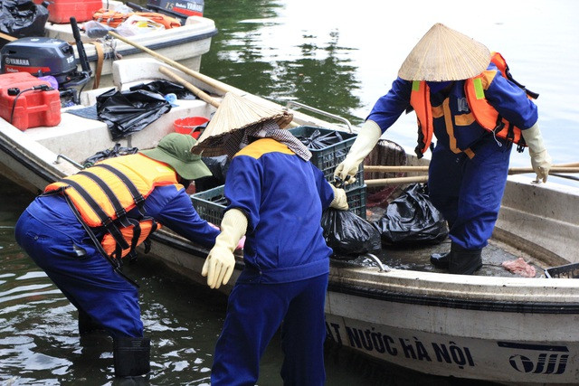 Hà Nội: Cá chết hàng loạt bốc mùi hôi thối trên hồ Trúc Bạch - 11