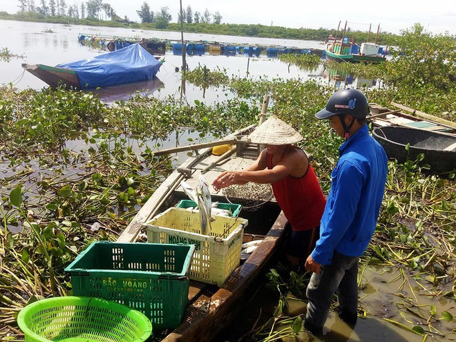 Xuất hiện thêm hàng tấn cá chết nổi trắng sông ở Hà Tĩnh - Ảnh 2.