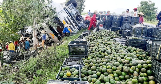 Thấy xe tải chở cam lật, hàng chục người dân giúp tài xế thu gom - Ảnh 1.