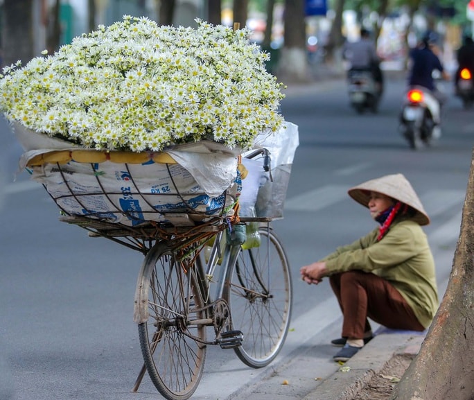 Xốn xang cúc họa mi xuống phố - Ảnh 8.