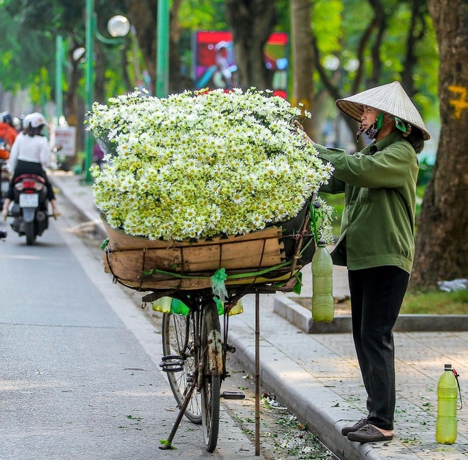 Xốn xang cúc họa mi xuống phố - Ảnh 9.