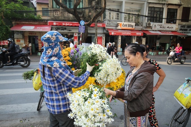 Cúc họa mi bung nở đón đông, rợp đường Hà Nội - 15