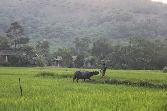 Vượt sông tìm trâu, thanh niên bị nước cuốn trôi tử vong - Ảnh 1.