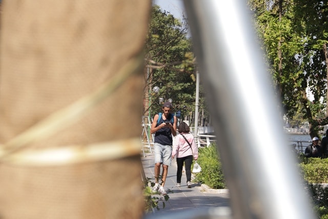 Hà Nội: Diện mạo mới của phố Trích Sài sau khi đánh chuyển 96 cây hoa sữa - 11