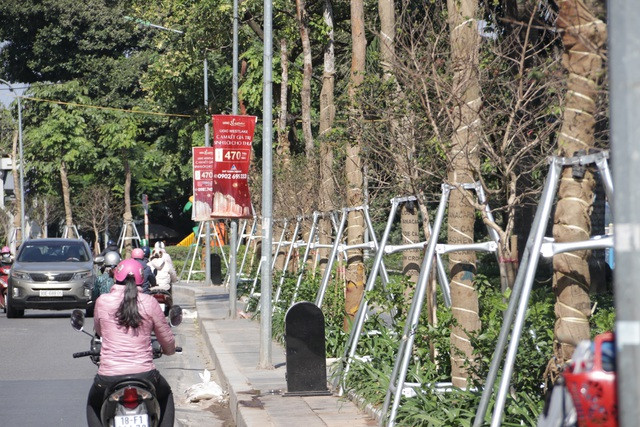 Hà Nội: Diện mạo mới của phố Trích Sài sau khi đánh chuyển 96 cây hoa sữa - 6