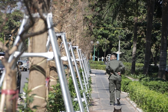 Hà Nội: Diện mạo mới của phố Trích Sài sau khi đánh chuyển 96 cây hoa sữa - 10