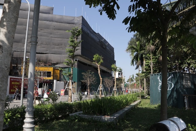 Hà Nội: Diện mạo mới của phố Trích Sài sau khi đánh chuyển 96 cây hoa sữa - 9