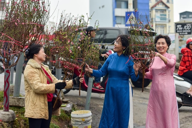 Đào xuống phố sớm, nhiều tuyến đường Hà Nội đã rộn ràng sắc xuân - 1