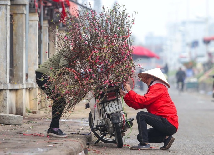 Đào Nhật Tân nở rộ, nhiều tuyến phố Hà Nội ngập tràn sắc xuân - Ảnh 6.