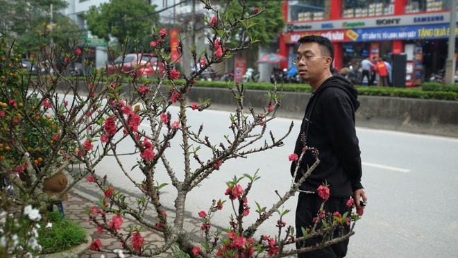 Dân buôn nhấp nhổm sợ mất Tết vì đào cảnh nở gần hết hoa, dài cổ chờ khách - Ảnh 10.