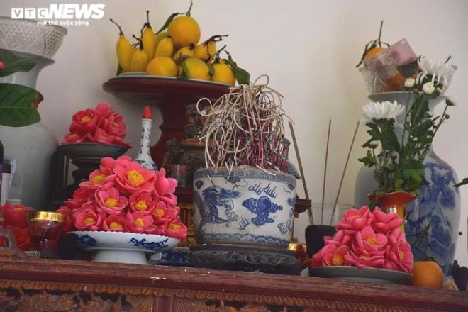 Chiêm ngưỡng vẻ đẹp cây hải đường hơn 100 tuổi ở thành phố Cảng - 13