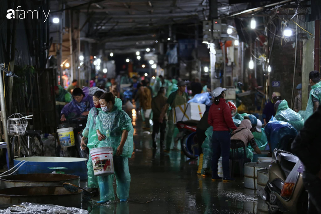 Ngày ông Công ông Táo, chợ cá lớn nhất Hà Nội cháy hàng cá chép từ rạng sáng - Ảnh 1.