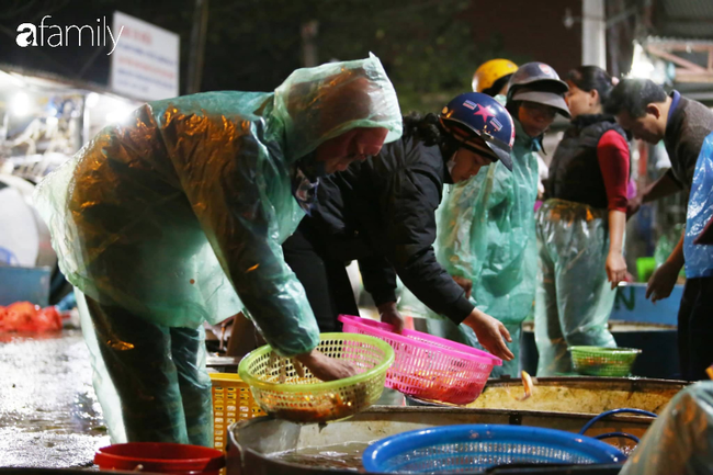Ngày ông Công ông Táo, chợ cá lớn nhất Hà Nội cháy hàng cá chép từ rạng sáng - Ảnh 11.