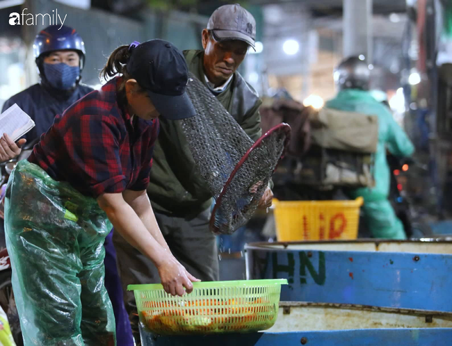 Ngày ông Công ông Táo, chợ cá lớn nhất Hà Nội cháy hàng cá chép từ rạng sáng - Ảnh 9.