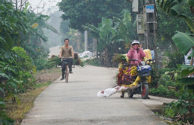 Làng hoa Phù Vân rực rỡ trên vùng chiêm trũng Hà Nam - 10