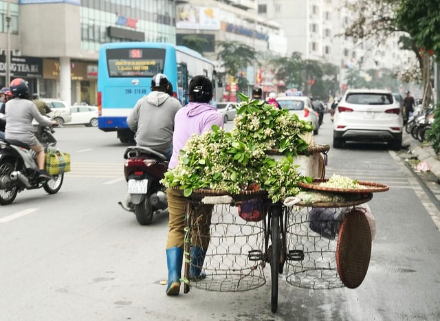 Hoa bưởi xuống phố, khách giành nhau từng chùm - 1