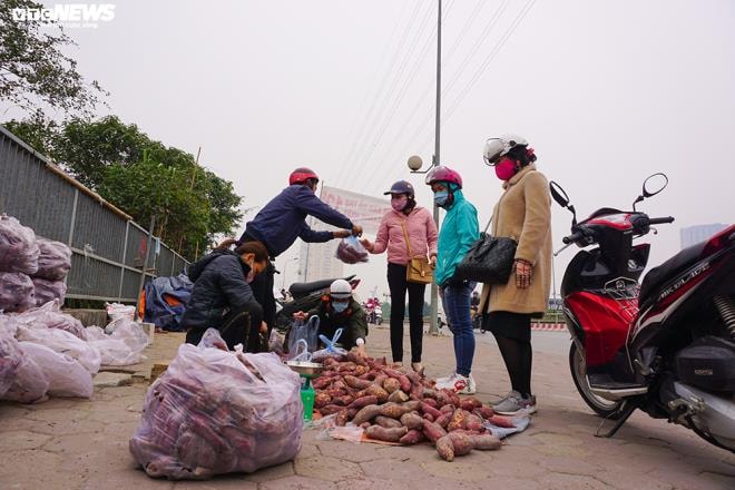 Khoai lang ngổn ngang trên vỉa hè Hà Nội, chờ khách 'giải cứu' - 2