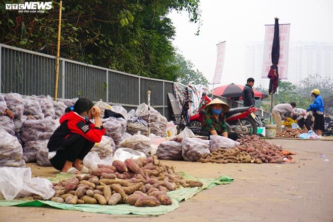 Khoai lang ngổn ngang trên vỉa hè Hà Nội, chờ khách 'giải cứu' - 5