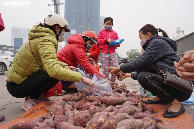 Khoai lang ngổn ngang trên vỉa hè Hà Nội, chờ khách 'giải cứu' - 3