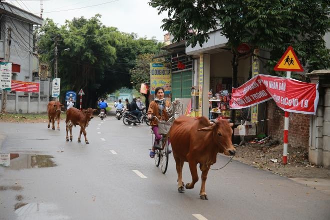 Ảnh: Sơn Lôi trở lại nhịp sống bình thường sau 20 ngày cách ly chống Covid-19 - 6