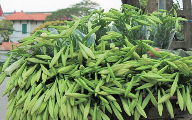 Hoa loa kèn xuống phố, giá rẻ bất ngờ nhưng vắng bóng người mua - Ảnh 1.