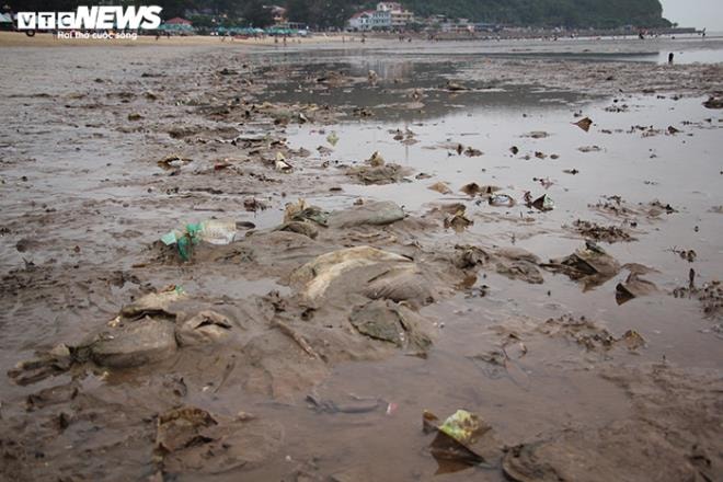 Rác thải 'bức tử' bãi tắm Đồ Sơn trong dịp nghỉ lễ 30/4-1/5 - 3