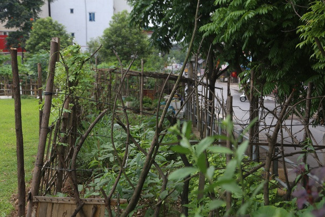 Ngổn ngang rác gần cây cầu dây văng lớn thứ hai Việt Nam - 10
