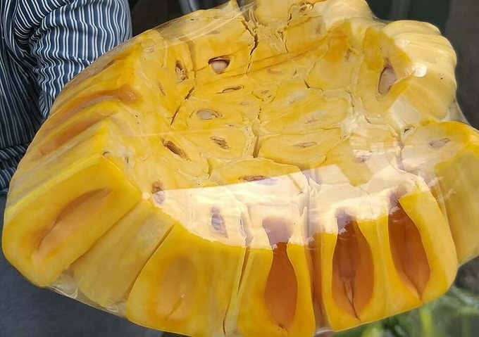 mit-1-1589864266-7895-15898646-3768-8599-1589877807