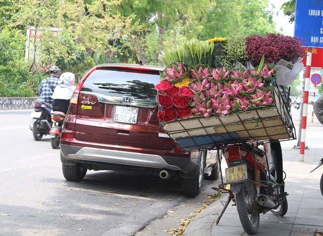 Hà Nội: Hoa sen xuống phố, thơm ngát cả vùng trời! - 3