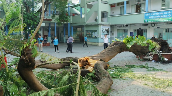 Không có gì quý hơn sinh mạng con người - Ảnh 1.