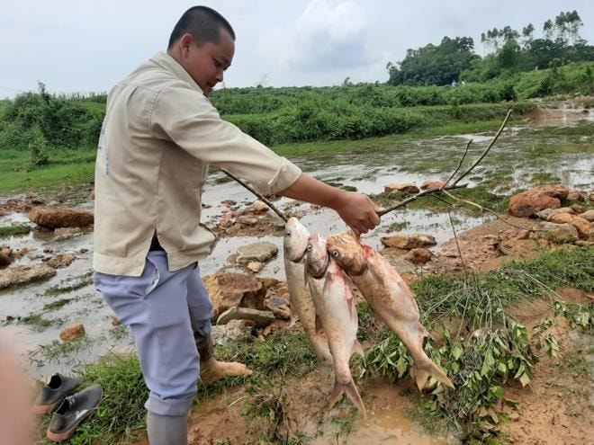 Hàng trăm người dân mang lưới bắt cá sau sự cố vỡ đập chứa 600.000m3 nước - 7