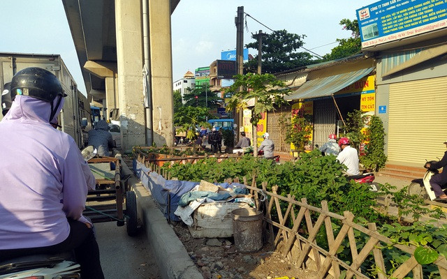 Đường sắt Cát Linh - Hà Đông chưa hẹn ngày vận hành, nhưng dân có thể... trồng rau, nuôi gà ngay phía dưới - Ảnh 2.