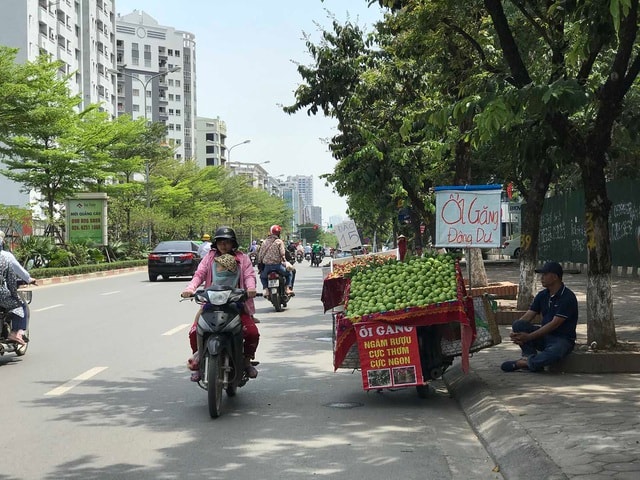Hoa quả siêu rẻ tràn vỉa hè: Người tiêu dùng cẩn thận tránh sập bẫy - 1