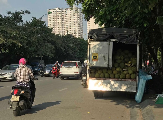 Hoa quả siêu rẻ tràn vỉa hè: Người tiêu dùng cẩn thận tránh sập bẫy - 7
