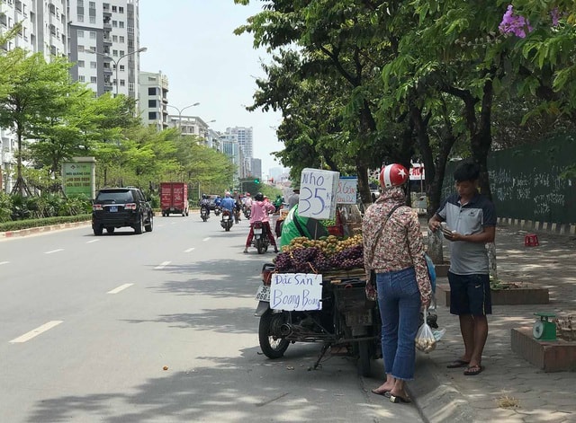 Hoa quả siêu rẻ tràn vỉa hè: Người tiêu dùng cẩn thận tránh sập bẫy - 6