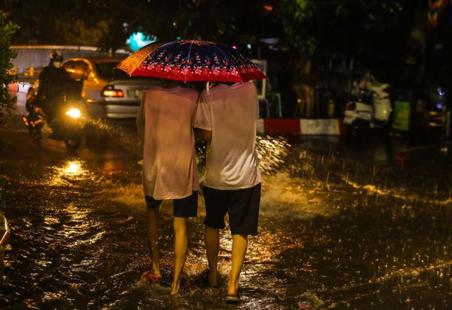 Sau trận 'mưa vàng' giải nhiệt, đường Hà Nội ngập úng, cây xanh bị quật đổ  - 6