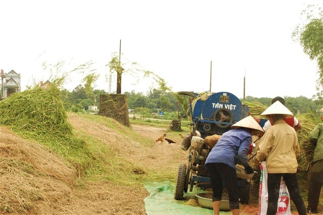 Rơm khô, vỏ trấu có giá bất ngờ trên sàn thương mại điện tử - 3