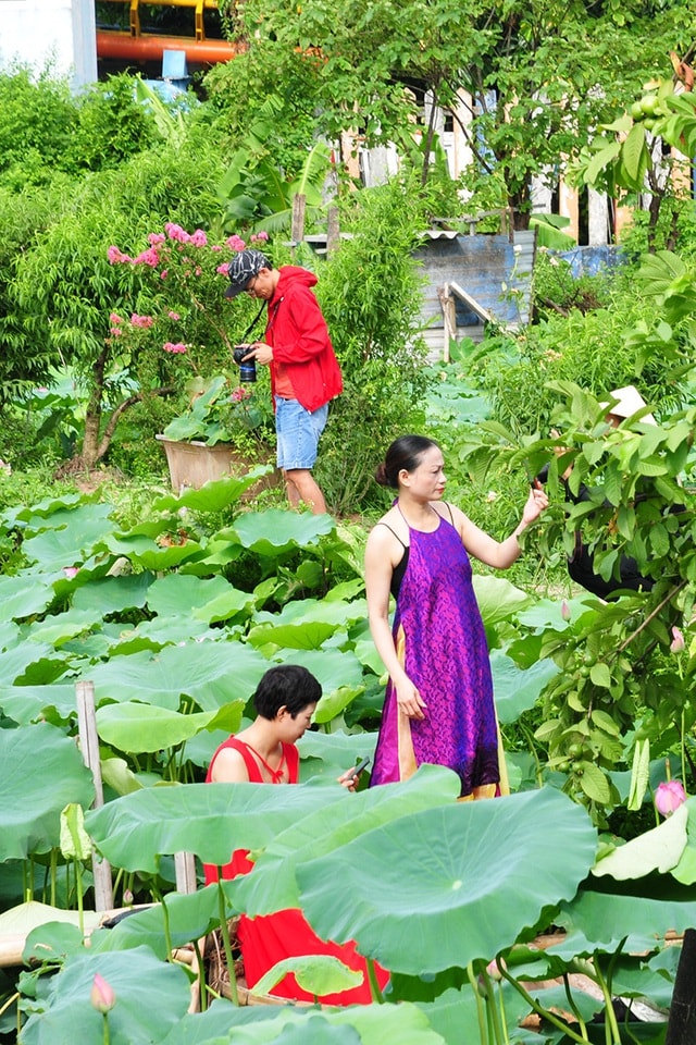 Chị em chen chân chụp ảnh tại đầm sen tây hồ - Ảnh 5.