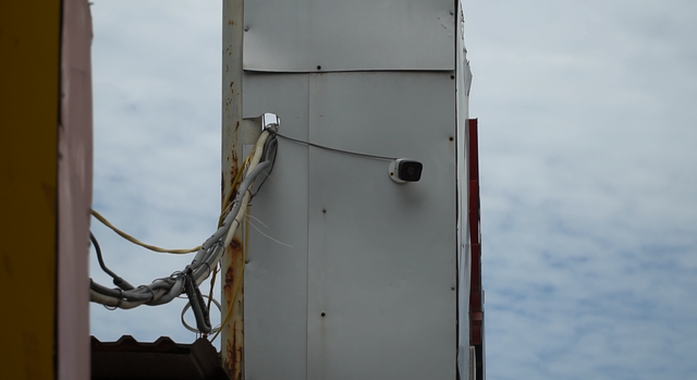 Hà Nội: Lắp camera, bọc sắt bảo vệ 34 cây sưa đỏ “đắt hơn vàng” - 7