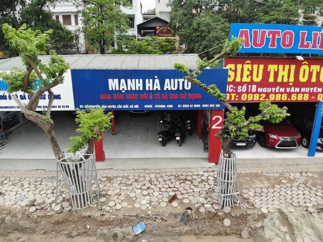 Hà Nội: Lắp camera, bọc sắt bảo vệ 34 cây sưa đỏ “đắt hơn vàng” - 8