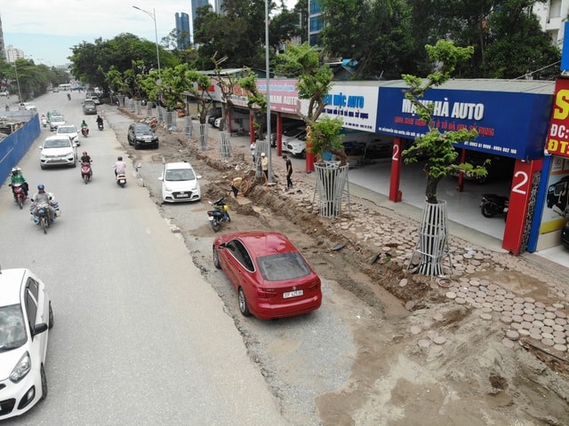 Hà Nội: Lắp camera, bọc sắt bảo vệ 34 cây sưa đỏ “đắt hơn vàng” - 3