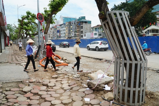 Hà Nội: Lắp camera, bọc sắt bảo vệ 34 cây sưa đỏ “đắt hơn vàng” - 6